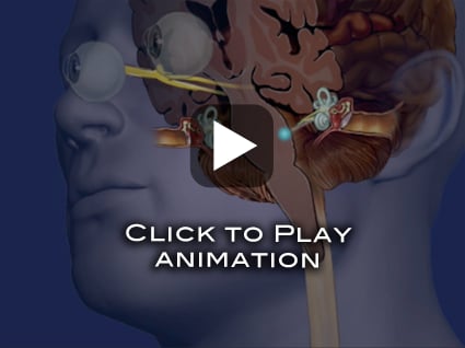 Axon animation